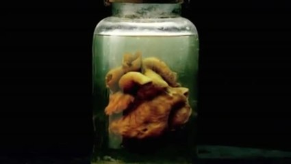 The Strain - S01 Teaser Trailer Heart (English) HD