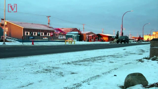 Remote Village Uses Military AI ‘Beardar’ to Identify and Chase Off Polar Bears