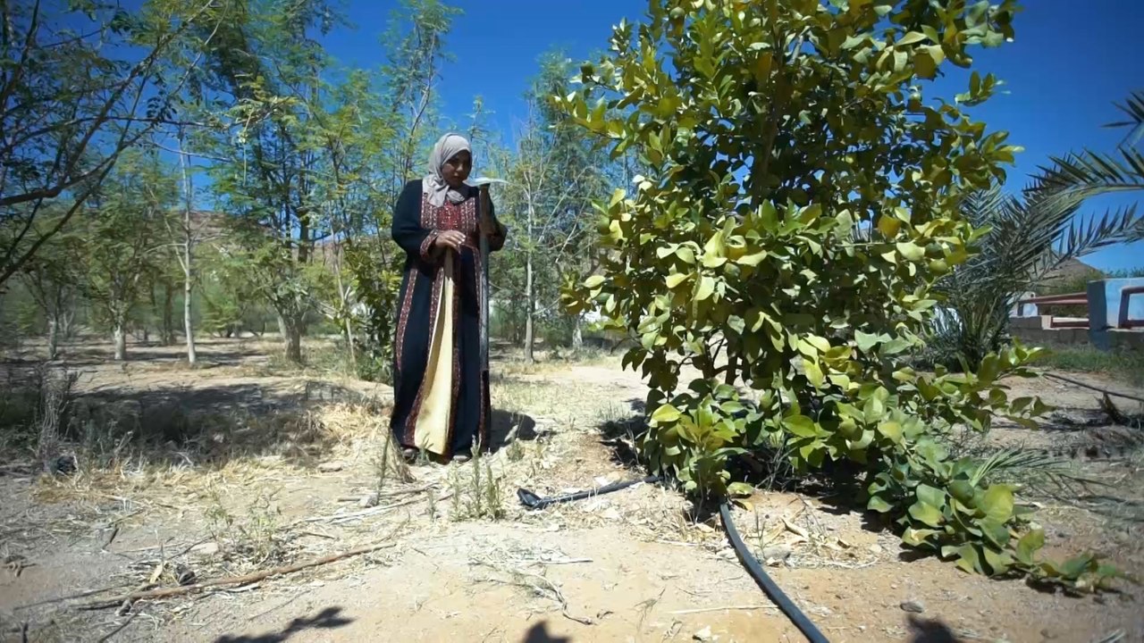 حلم تشجير الصحراء.. كيف أصبح حقيقة في وادي رم؟