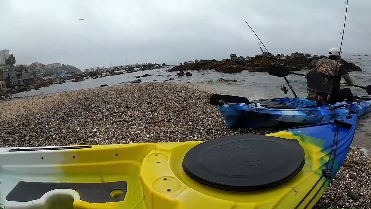 La pesca que  no quería hacer !!!!    lobos de mar... los eternos oportunistas