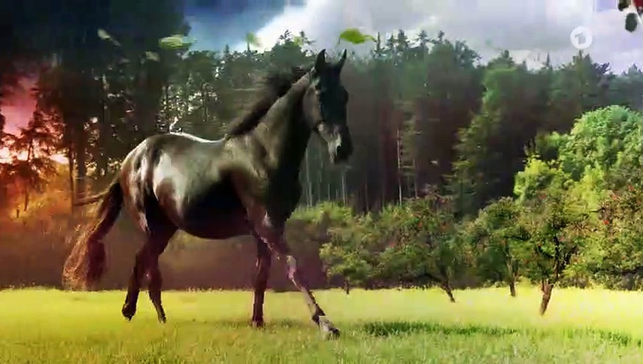 Sturm der Liebe 3488 folge