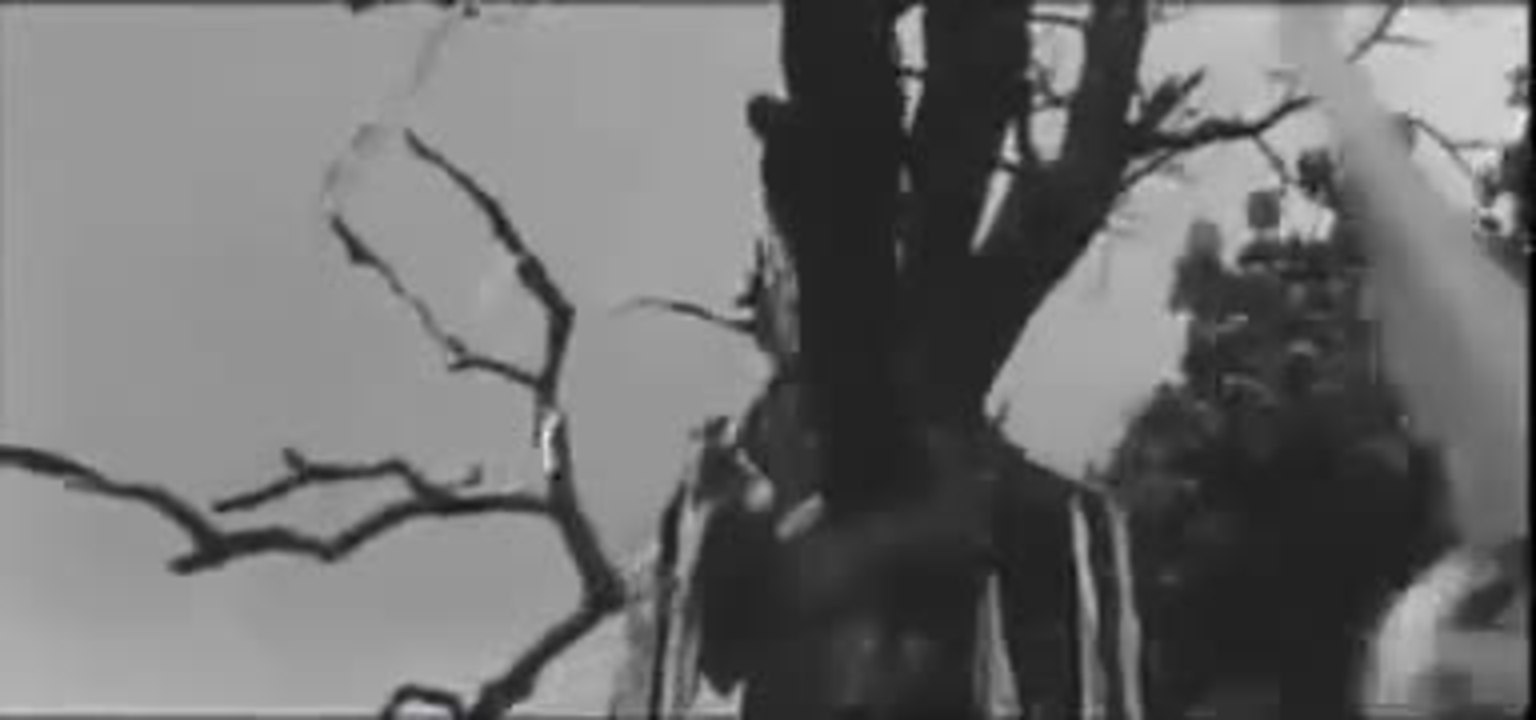 Marketa LazarovÃ¡ 1967 - Trailer (English)