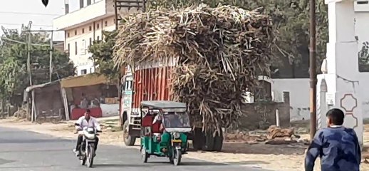 Descargar video: गन्ने से भरे ओवरलोड ट्रकों ने दो विद्युत पोल किए क्षतिग्रस्त