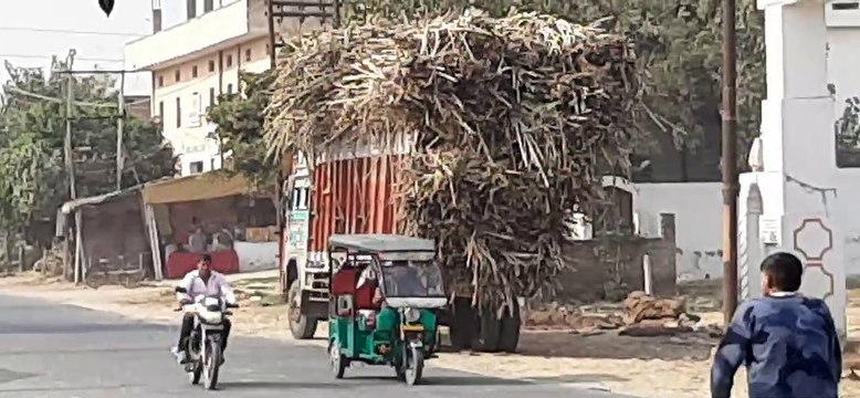 गन्ने से भरे ओवरलोड ट्रकों ने दो विद्युत पोल किए क्षतिग्रस्त