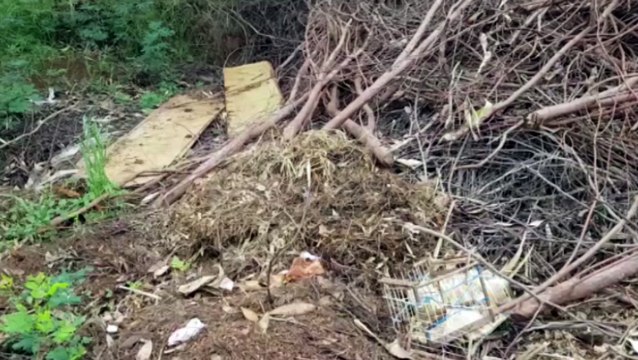 Moradora reclama de descarte irregular de lixo em córrego no final da Rua Tapajós