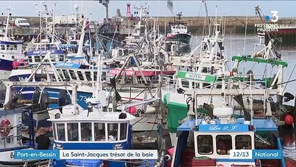 Port-en-Bessin : une baie merveilleuse pour la Saint-Jacques