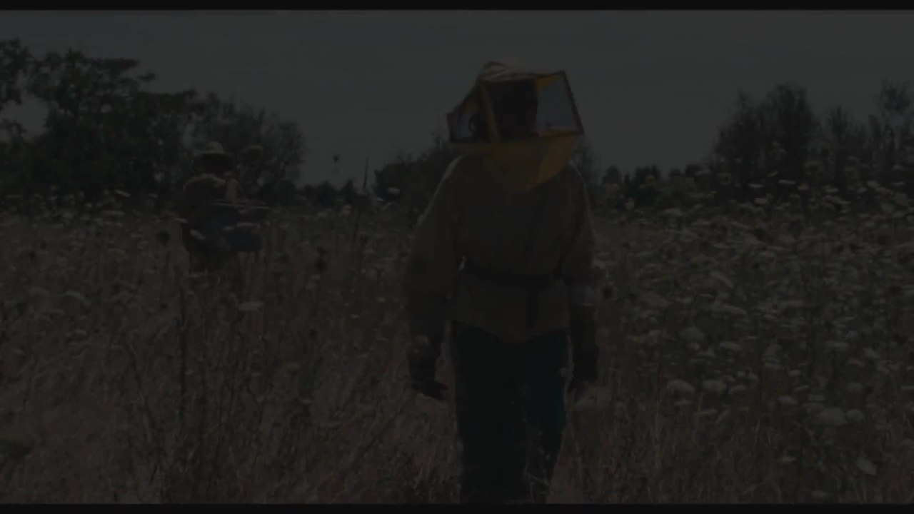 Land der Wunder - Trailer (Deutsch) HD