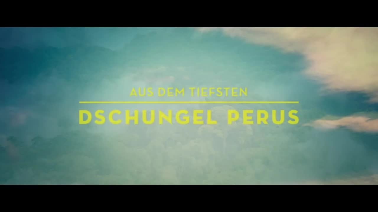 Paddington - Trailer 2 (Deutsch) HD