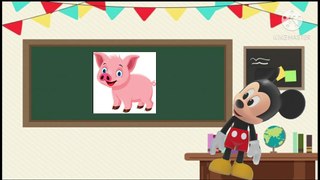 Learning animals for baby and toddler Animal sounds and noises nursery rhymes