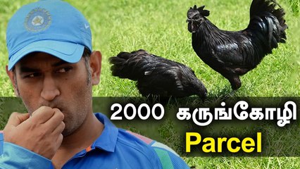 Dhoni வாங்க போகும் 2000 Kadaknath கோழி | OneIndia Tamil