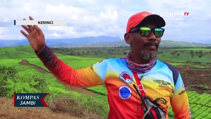 Menikmati Indahnya Kawasan Kayu Aro Dari Udara