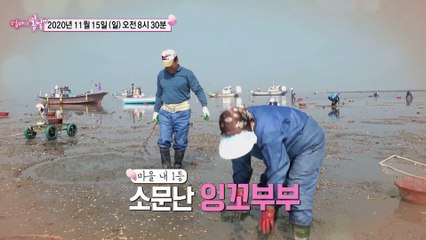 매향리 마을 갯벌에 살어리랏다_엄마의 봄날 270회 예고