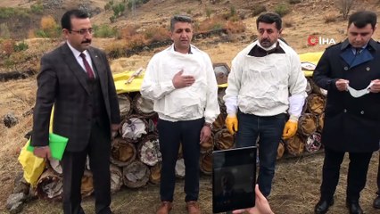 Terörün kökünün kazındığı bölgede organik bal hasadına başlandı