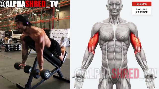 Les 10 meilleurs exercices de BICEPS pour construire rapidement des bras plus gros - 99999% RÉSULTATS UNIQUEMENT DES DUMBBELLS