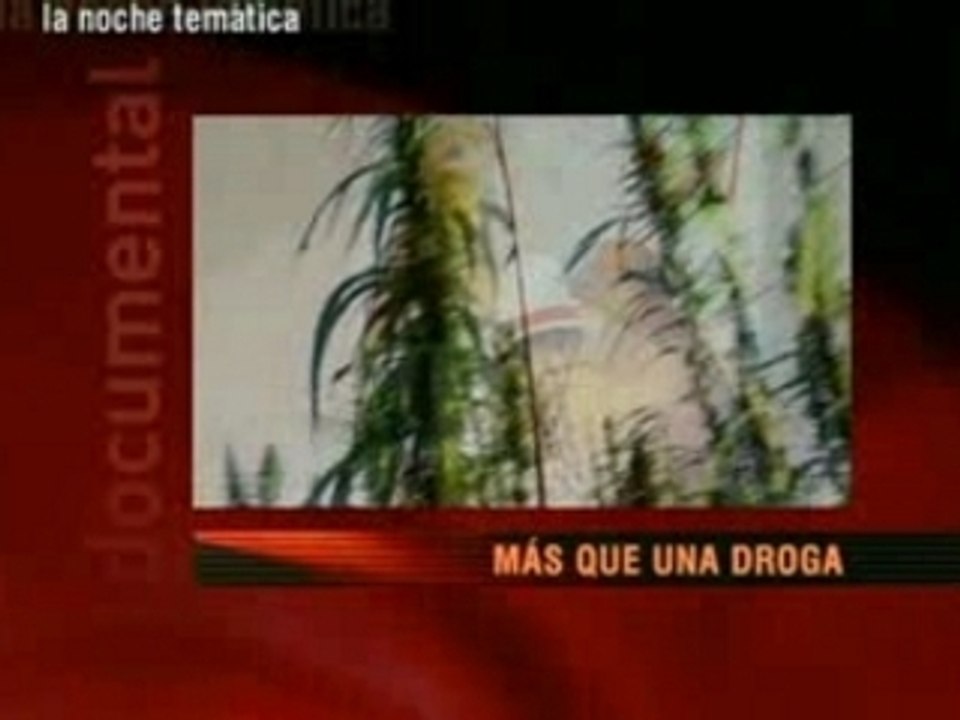 La plante de la discorde (14-04-07)