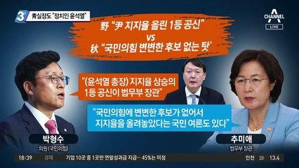 靑실장도 “정치인 윤석열”