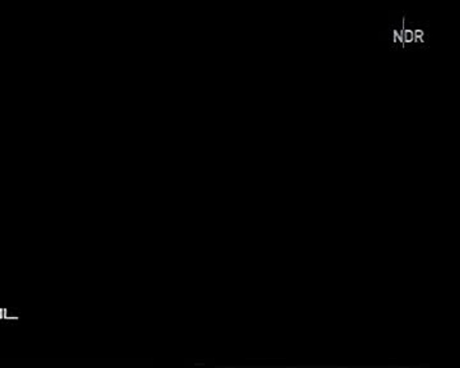 Hey Baby - Reportage über Flirt, Erotik, Geburt - Wirkung von Pheromonen