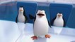 Penguins of Madagascar - Clip Shopping For Revenge (English) HD