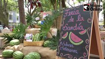 Se lanzó la feria de la sandía en la Plaza San Martin de Posadas