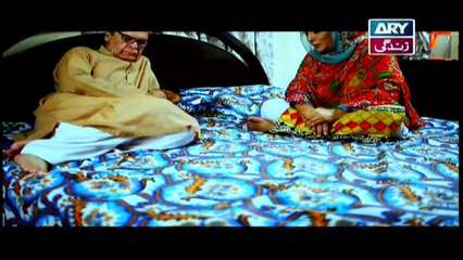 Behnain Aisi Bhi Hoti Hain Episode 308 & 309 - ARY Zindagi Drama