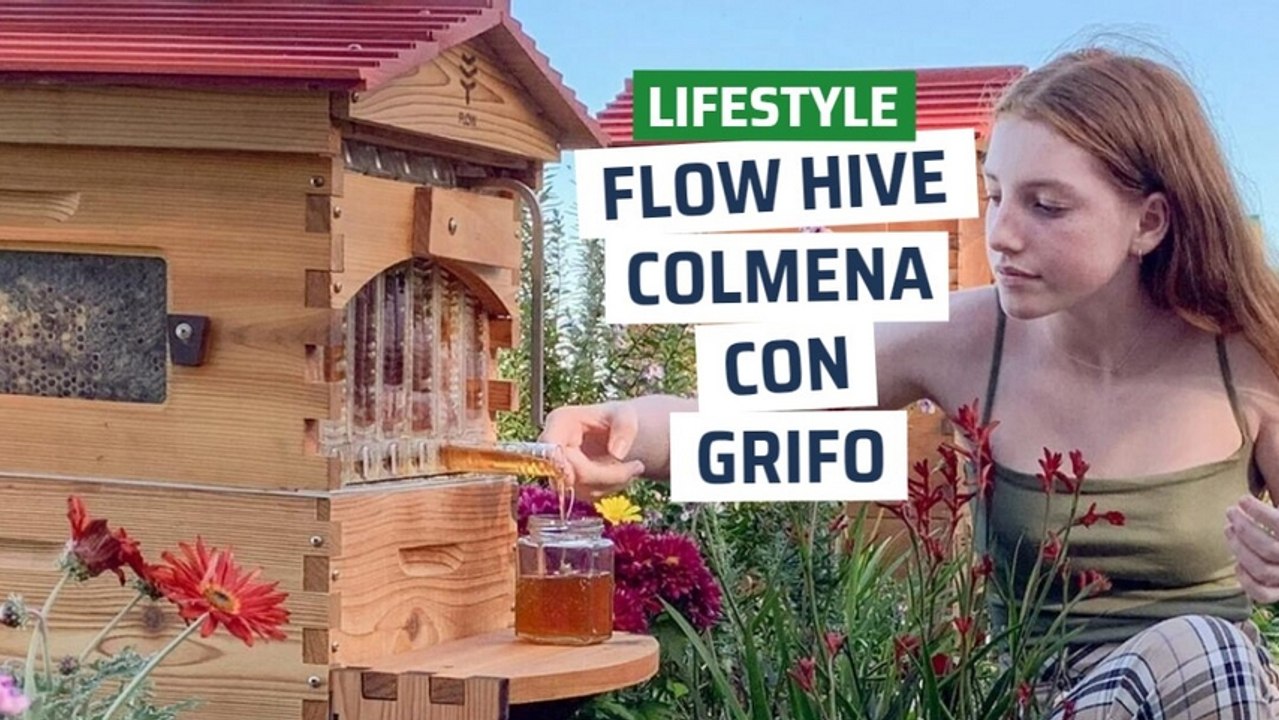[CH] Flow Hive, la colmena con grifo