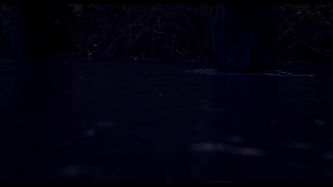 Akte GrÃ¼ninger - Trailer (Deutsch) HD