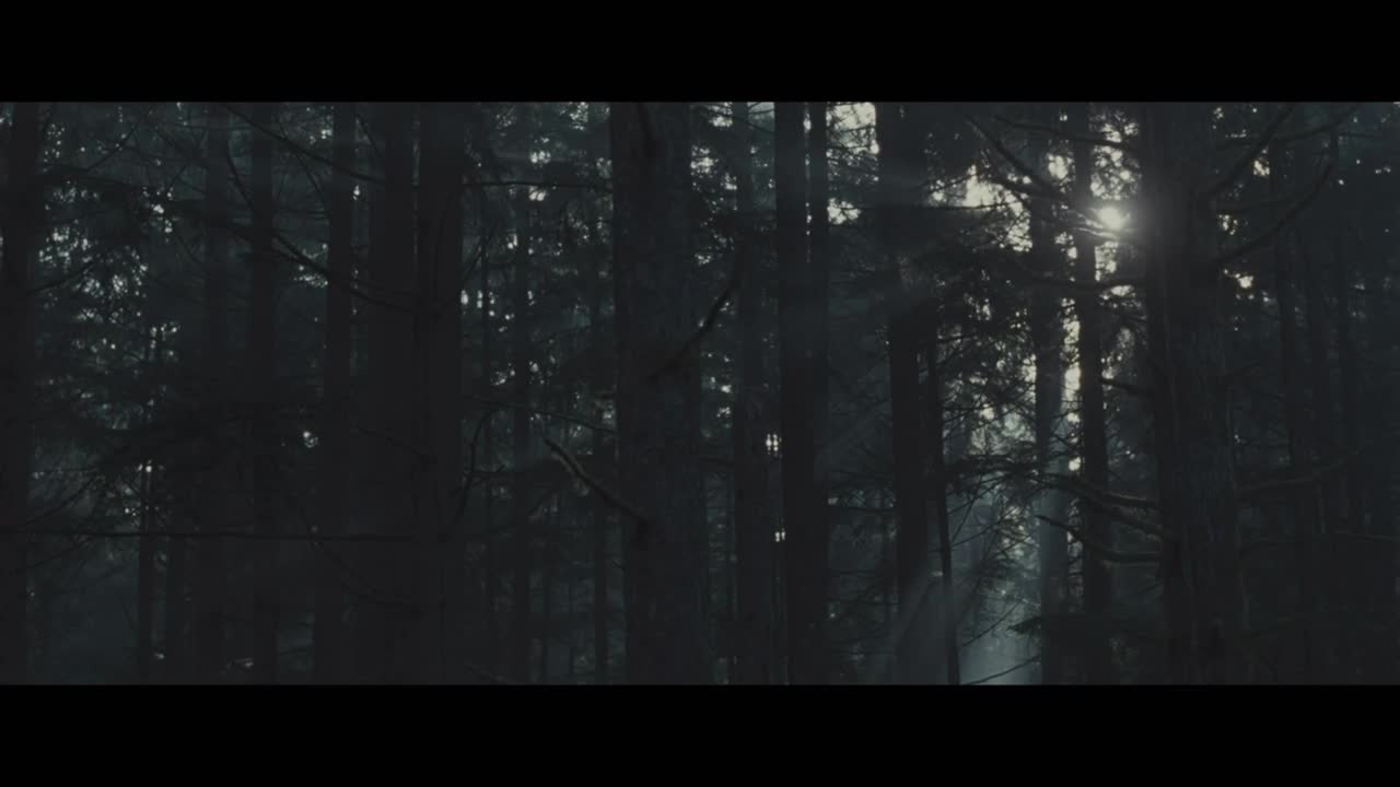 A Single Shot: Ein TÃ¶dlicher Fehler - Trailer (English) HD
