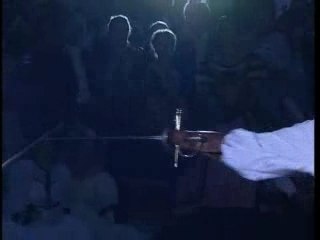 Bal de Versailles 2005 ,  Duel à l'épée