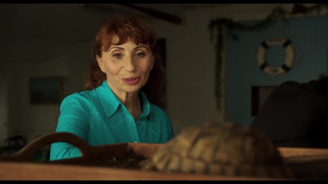 CafÃ© Olympique - Clip SchildkrÃ¶te (Deutsch) HD