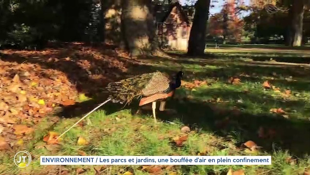 Environnement : les parcs et jardins, une bouffée d'air pur en plein confinement