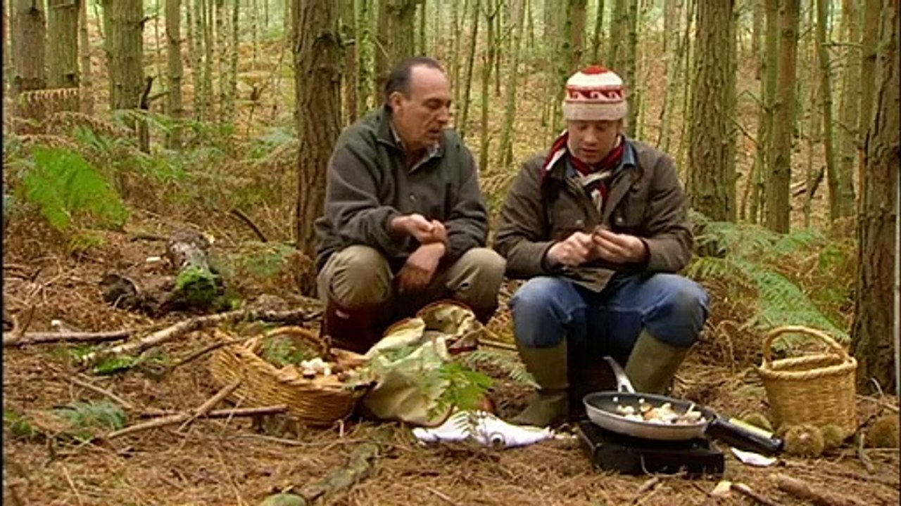 Schwammerl auf Toast