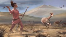 Burial Discovery Suggests Women Were Big Game Hunters Too