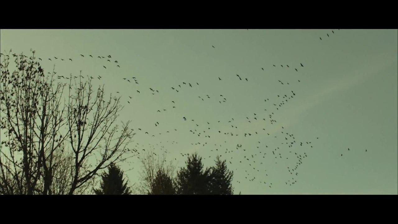 Der groÃŸe Trip Wild Featurette Making Of (Deutsch) HD