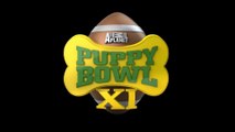Inside Out - Super Bowl Trailer Puppy Bowl (English) HD