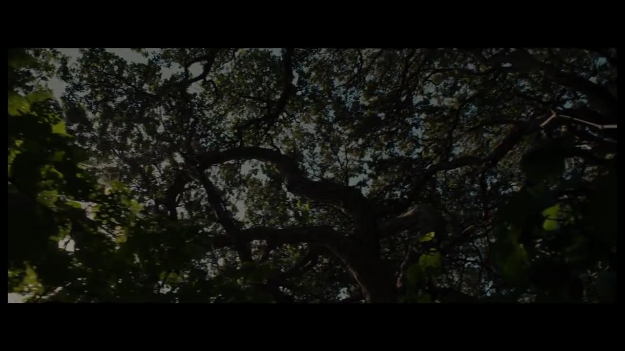 The Dead Lands - Trailer (English) HD