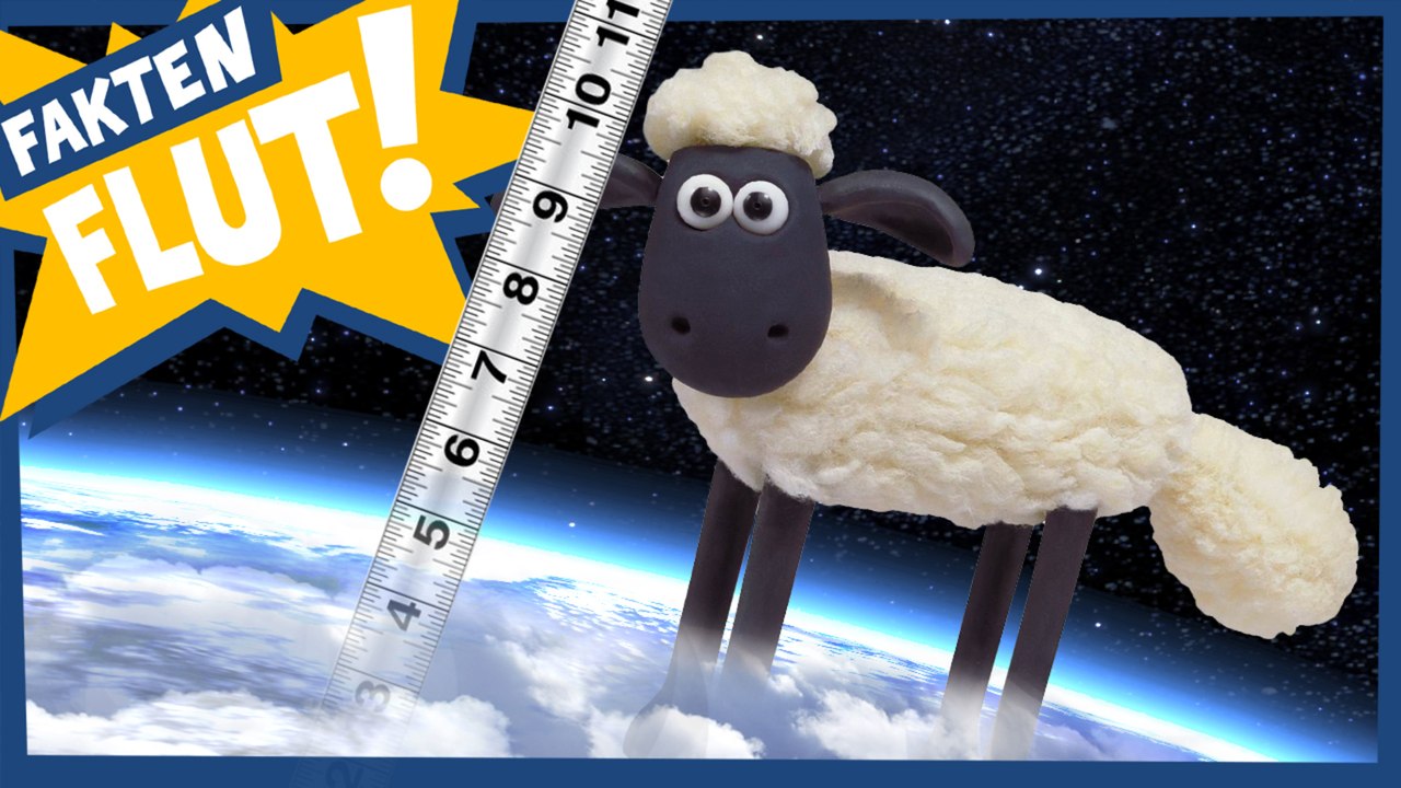 Stop-Motion Faktenflut