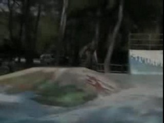 skate charles et rémi