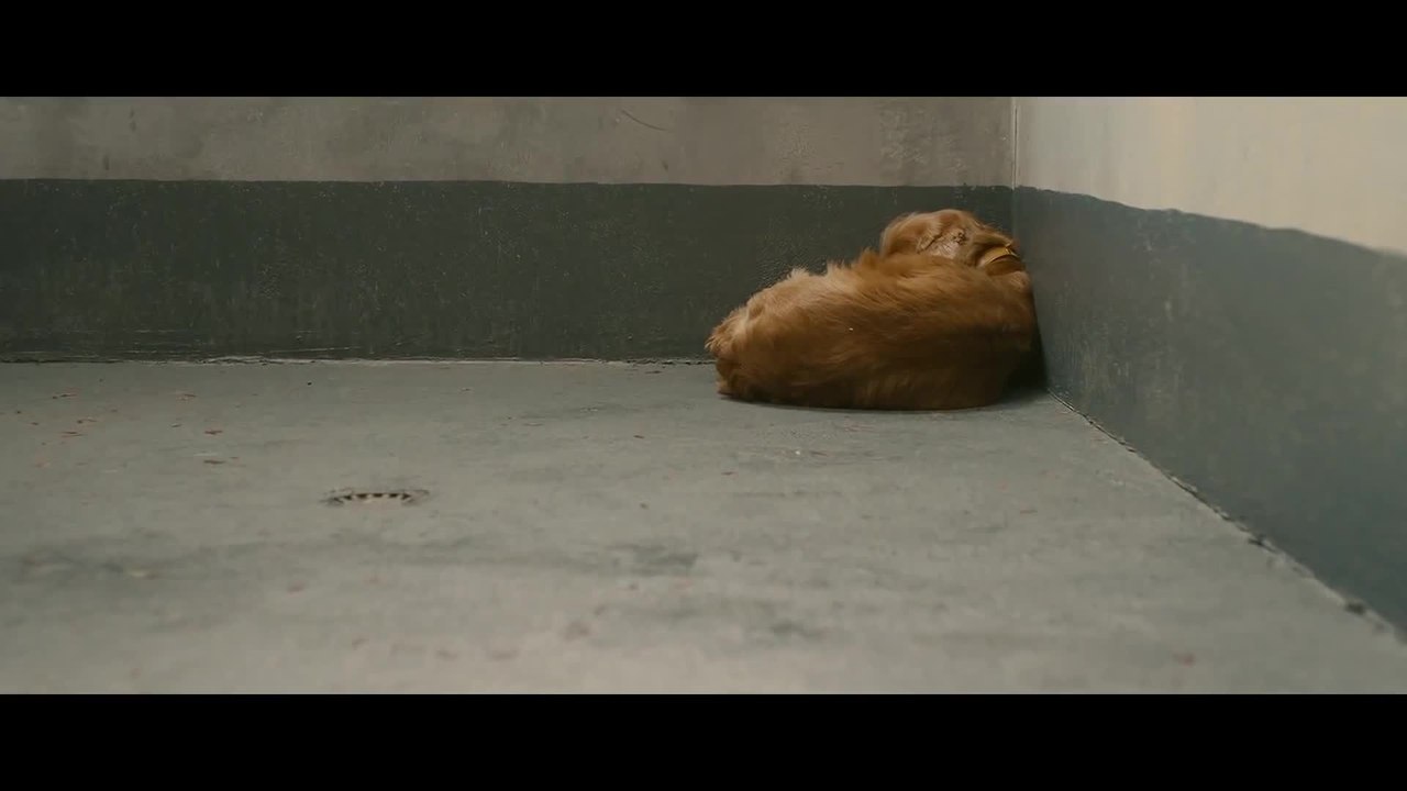 Boule & Bill - Trailer (Francais) HD
