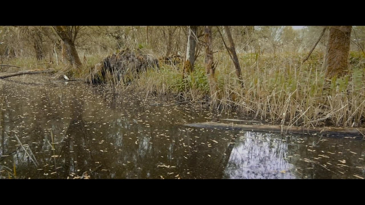 Die neue Wildnis -  Clip Liebe geht durch den Magen (Deutsch) HD