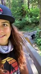 Group of Hikers Meet Black Bear on Trail