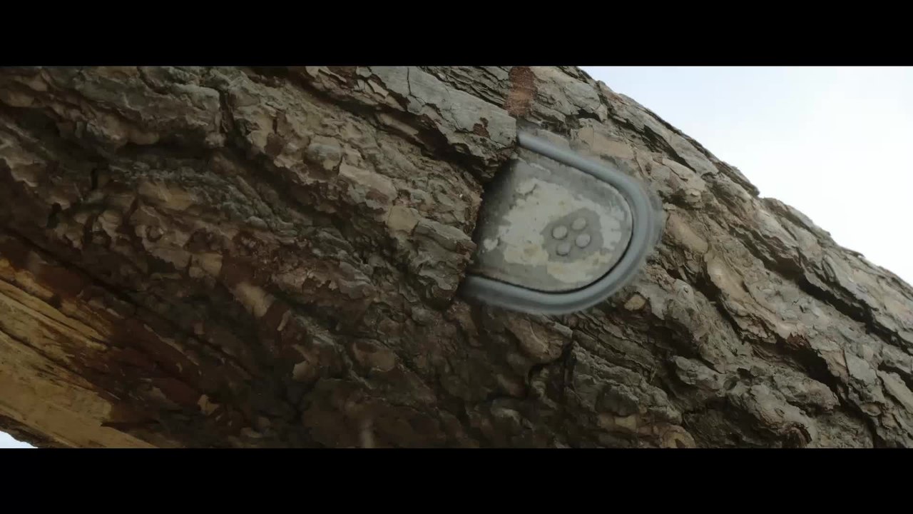 Das Ewige Leben - Clip Baum fÃ¤llt (Deutsch) HD