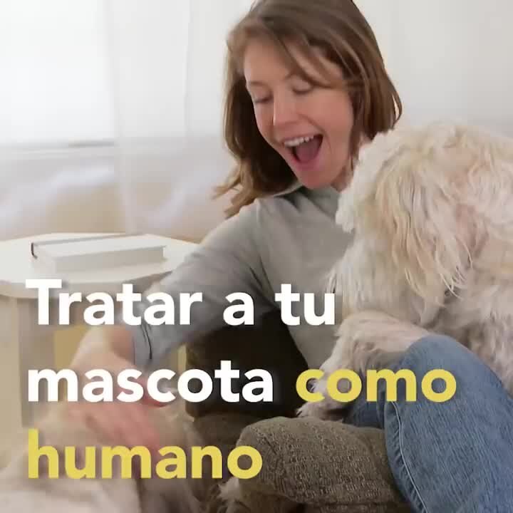 Por que no debes tratar a tu mascota como humano | Sabías que...
