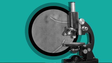 Superbacterias: La amenaza del futuro | EXPLAINERS