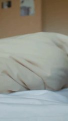 8 Reasons Why We Love Cats