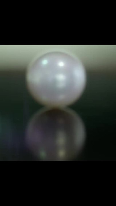 How do oysters make pearls