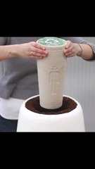 Turn Ashes Into Trees