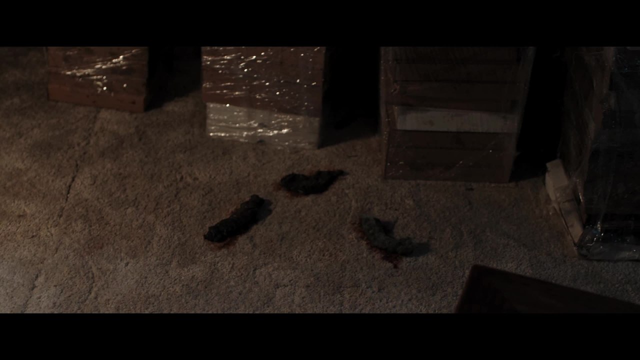 The Voices - Clip Gefaehrliche Neugierde (Deutsch) HD