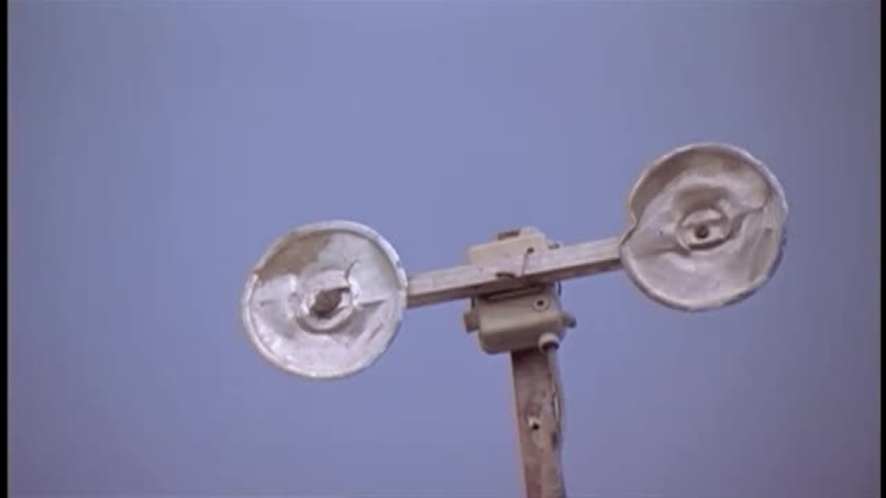 Das Lied der Sperlinge - Clip (English)