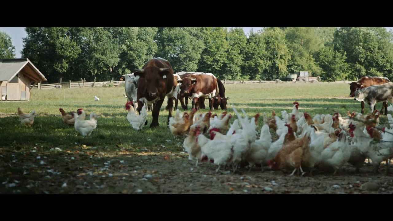 10 Milliarden - Clip Hermannsdorfer (Deutsch) HD