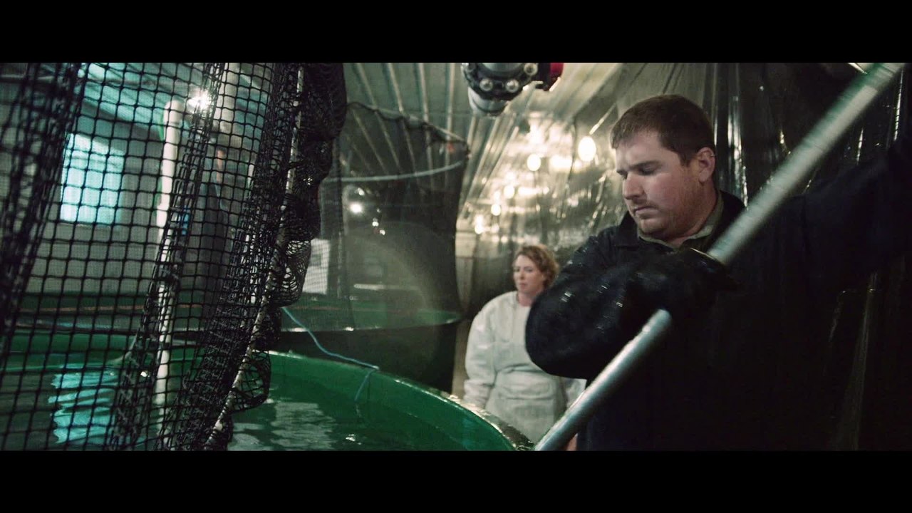 10 Milliarden - Clip Lachse (Deutsch) HD